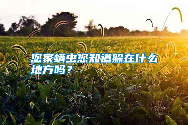 您家螨蟲您知道躲在什么地方嗎？