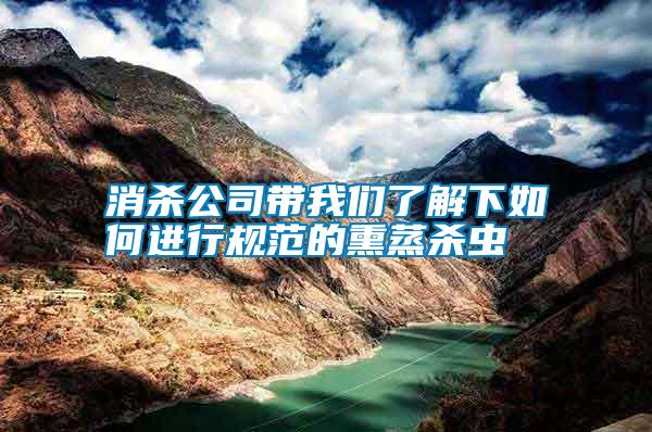 消殺公司帶我們了解下如何進行規(guī)范的熏蒸殺蟲