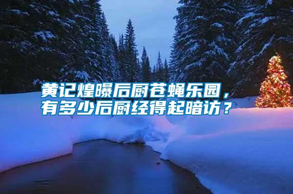 黃記煌曝后廚蒼蠅樂園， 有多少后廚經(jīng)得起暗訪？