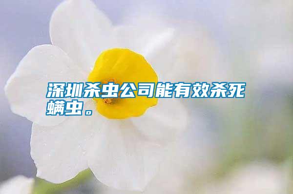 深圳殺蟲公司能有效殺死螨蟲。