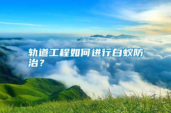 軌道工程如何進(jìn)行白蟻防治？