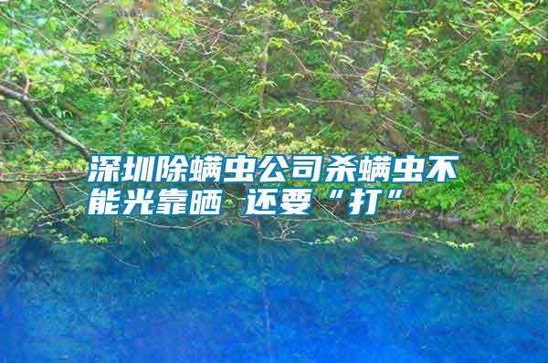 深圳除螨蟲公司殺螨蟲不能光靠曬 還要“打”