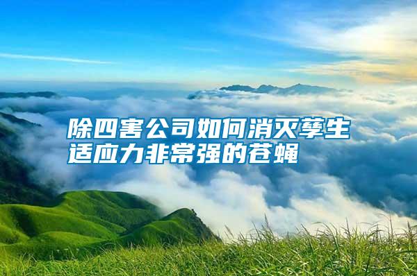 除四害公司如何消滅孳生適應(yīng)力非常強(qiáng)的蒼蠅