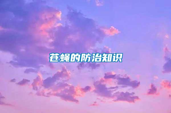 蒼蠅的防治知識