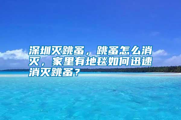 深圳滅跳蚤，跳蚤怎么消滅，家里有地毯如何迅速消滅跳蚤？