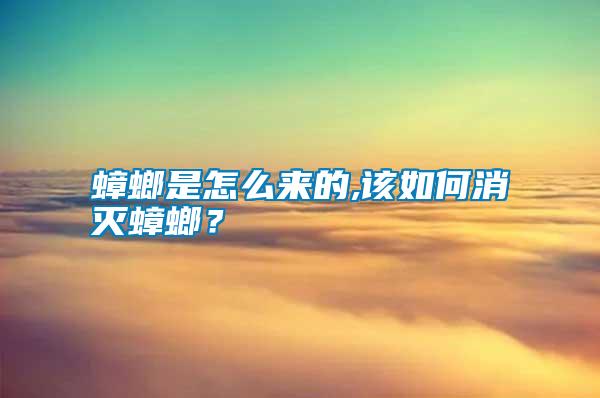 蟑螂是怎么來(lái)的,該如何消滅蟑螂？