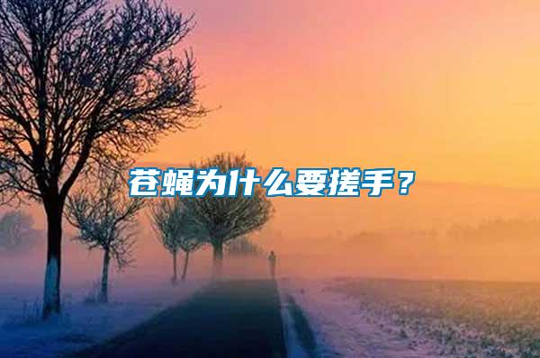 蒼蠅為什么要搓手？