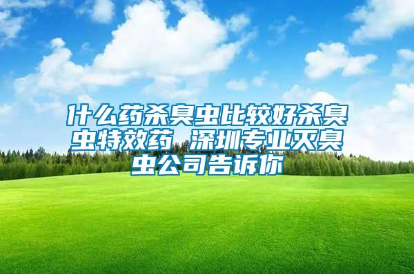 什么藥殺臭蟲比較好殺臭蟲特效藥 深圳專業(yè)滅臭蟲公司告訴你