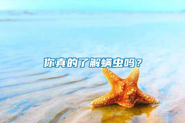 你真的了解螨蟲嗎？