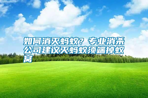 如何消滅螞蟻？專(zhuān)業(yè)消殺公司建議滅螞蟻?lái)毝说粝伕C