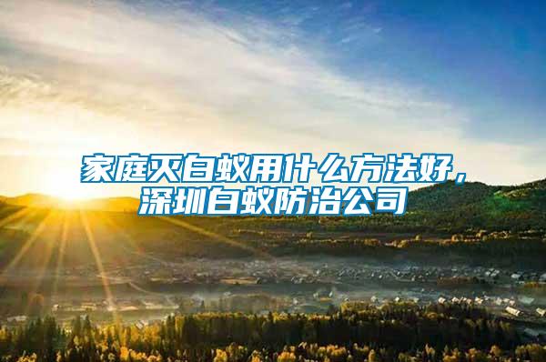 家庭滅白蟻用什么方法好，深圳白蟻防治公司