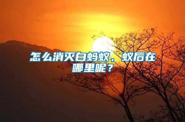 怎么消滅白螞蟻，蟻后在哪里呢？