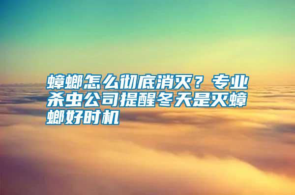 蟑螂怎么徹底消滅？專業(yè)殺蟲公司提醒冬天是滅蟑螂好時(shí)機(jī)