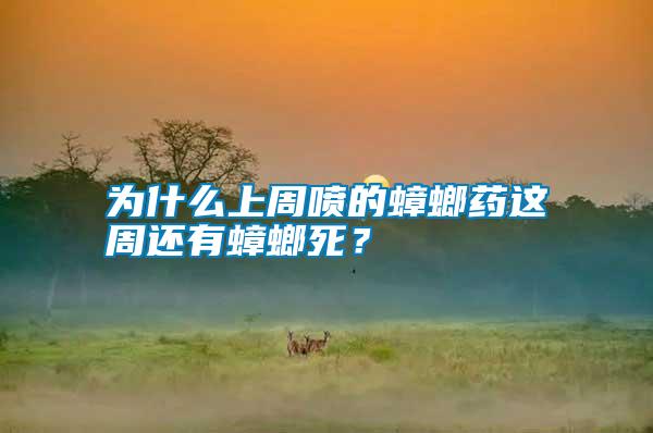 為什么上周噴的蟑螂藥這周還有蟑螂死？