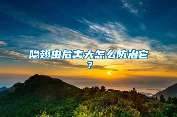 隱翅蟲危害大怎么防治它？