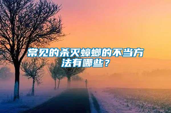 常見(jiàn)的殺滅蟑螂的不當(dāng)方法有哪些？