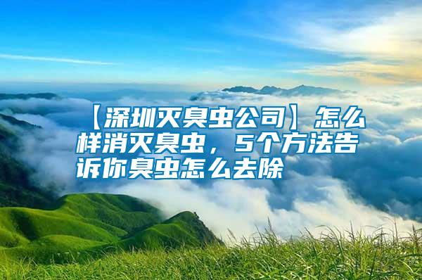 【深圳滅臭蟲公司】怎么樣消滅臭蟲，5個方法告訴你臭蟲怎么去除