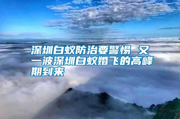 深圳白蟻防治要警惕 又一波深圳白蟻婚飛的高峰期到來(lái)