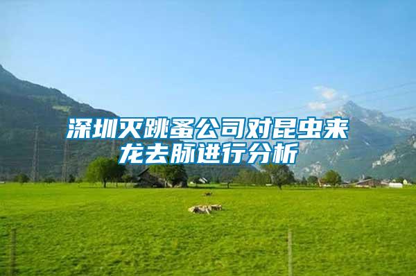 深圳滅跳蚤公司對昆蟲來龍去脈進行分析