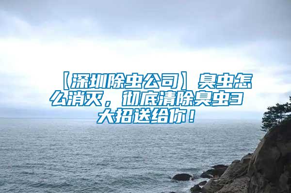 【深圳除蟲公司】臭蟲怎么消滅，徹底清除臭蟲3大招送給你！