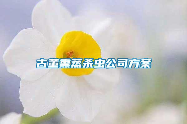 古董熏蒸殺蟲公司方案