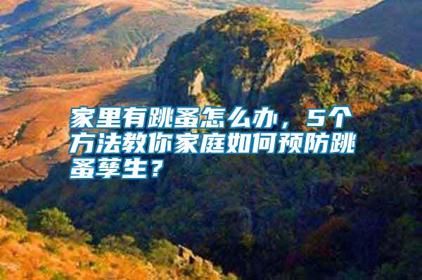 家里有跳蚤怎么辦，5個方法教你家庭如何預(yù)防跳蚤孳生？