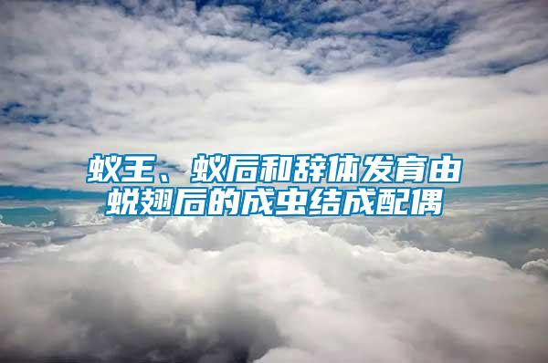 蟻王、蟻后和辭體發(fā)育由蛻翅后的成蟲(chóng)結(jié)成配偶