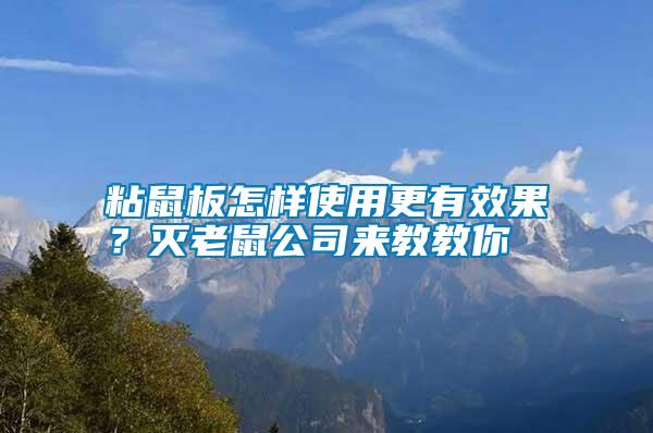 粘鼠板怎樣使用更有效果？滅老鼠公司來教教你