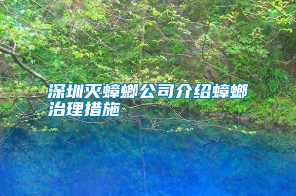 深圳滅蟑螂公司介紹蟑螂治理措施