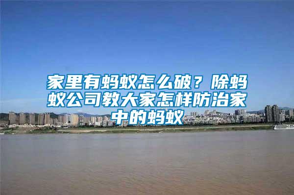 家里有螞蟻怎么破？除螞蟻公司教大家怎樣防治家中的螞蟻