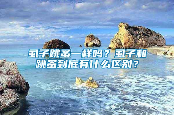 虱子跳蚤一樣嗎？虱子和跳蚤到底有什么區(qū)別？