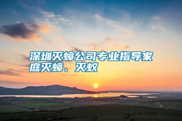 深圳滅蟑公司專業(yè)指導家庭滅蟑、滅蟻