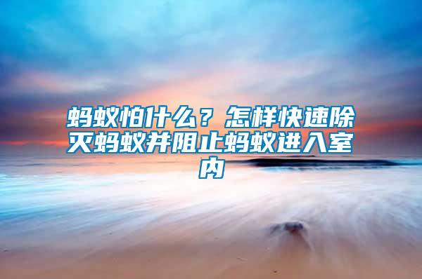 螞蟻怕什么？怎樣快速除滅螞蟻并阻止螞蟻進入室內(nèi)