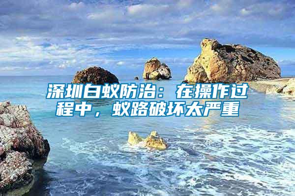 深圳白蟻防治：在操作過程中，蟻路破壞太嚴重