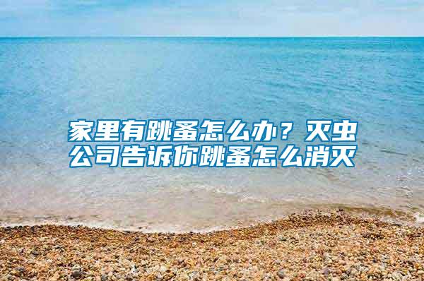 家里有跳蚤怎么辦？滅蟲公司告訴你跳蚤怎么消滅