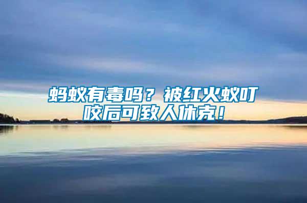 螞蟻有毒嗎？被紅火蟻叮咬后可致人休克！