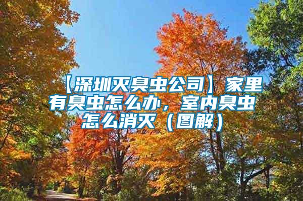 【深圳滅臭蟲(chóng)公司】家里有臭蟲(chóng)怎么辦，室內(nèi)臭蟲(chóng)怎么消滅（圖解）