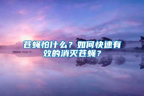 蒼蠅怕什么？如何快速有效的消滅蒼蠅？