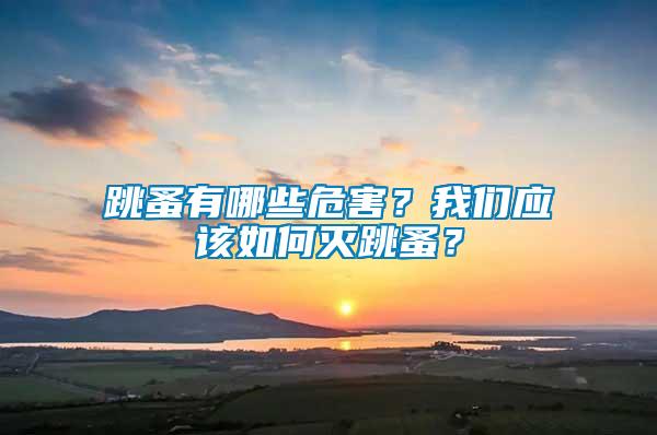 跳蚤有哪些危害？我們應(yīng)該如何滅跳蚤？