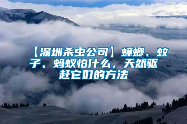 【深圳殺蟲公司】蟑螂、蚊子、螞蟻怕什么，天然驅趕它們的方法