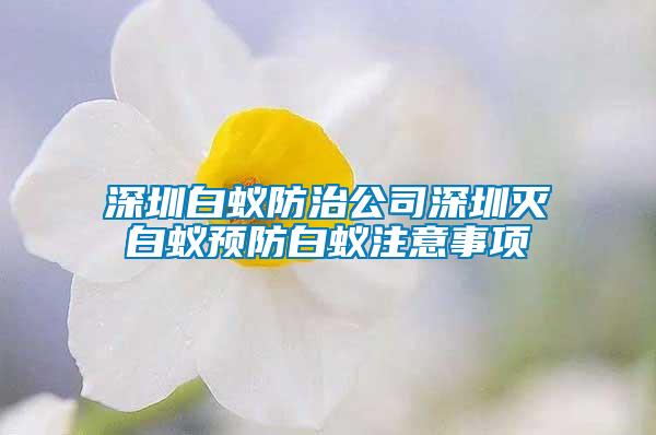 深圳白蟻防治公司深圳滅白蟻預(yù)防白蟻注意事項