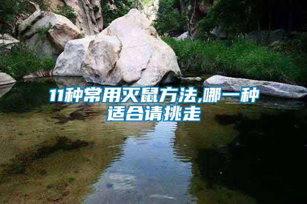 11種常用滅鼠方法,哪一種適合請?zhí)糇?/></p>
             <p style=