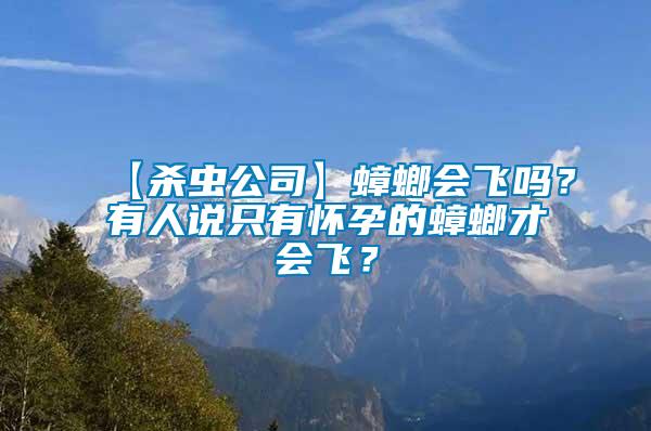 【殺蟲公司】蟑螂會飛嗎？有人說只有懷孕的蟑螂才會飛？