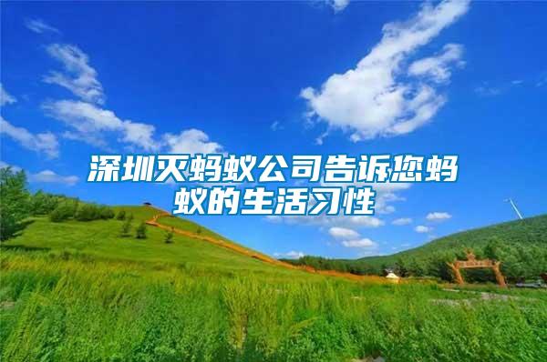 深圳滅螞蟻公司告訴您螞蟻的生活習(xí)性