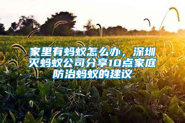 家里有螞蟻怎么辦，深圳滅螞蟻公司分享10點(diǎn)家庭防治螞蟻的建議