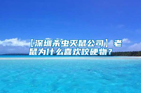 【深圳殺蟲滅鼠公司】老鼠為什么喜歡咬硬物？