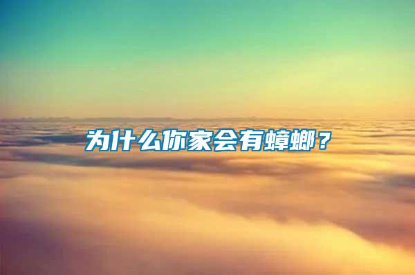 為什么你家會有蟑螂？