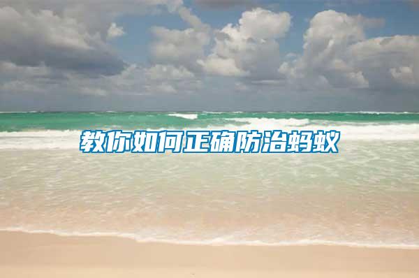 教你如何正確防治螞蟻