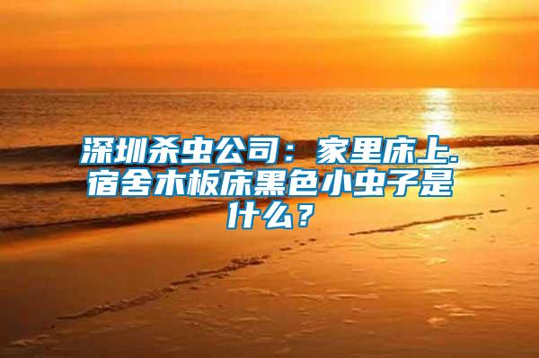 深圳殺蟲(chóng)公司：家里床上.宿舍木板床黑色小蟲(chóng)子是什么？