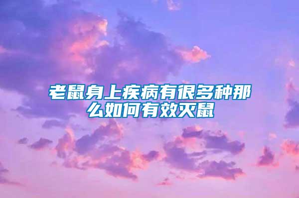 老鼠身上疾病有很多種那么如何有效滅鼠